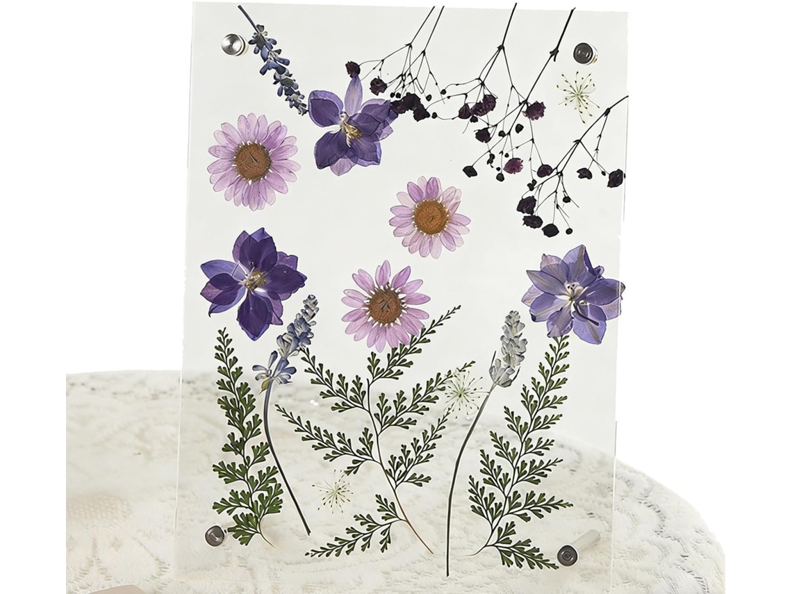 Marco Para Flores, Acrílico Transparente | Para Flores Secas, Sala De Estar, Oficina, Dormitorio, Baño