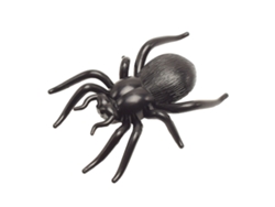Brinquedo De Aranha Rastejante Vibrante Realista Com Design Educativo E Ação Dinâmica