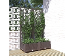 Maceta/Jardinera de Jardín con Enrejado 80X40X121,5 Cm PP Castaño