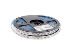 Tira Led LEDBOX Rgb+W Dc24V 5 Ip20 Rgb +