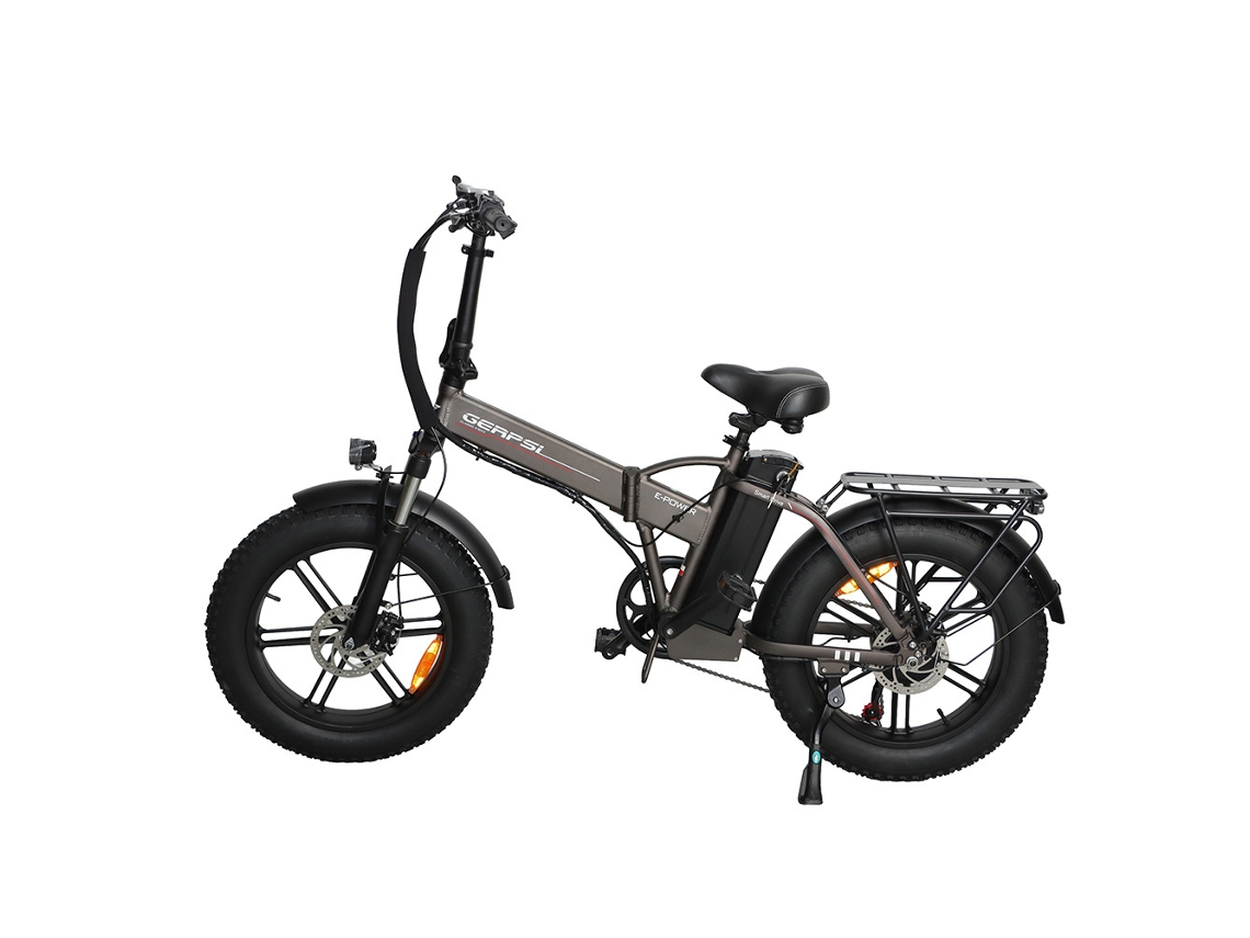 Bicicleta Eléctrica Baolujie Dz2002 Con Neumáticos Anchos Para Adultos, Batería Extraíble De 48 V Y 16 Ah.
