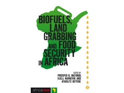 Libro Biofuels, Land Grabbing and Food Security in Africa (Inglés)