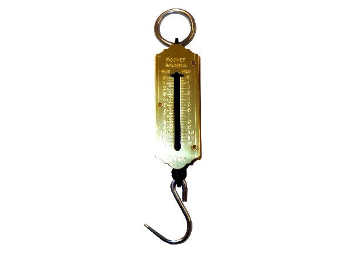 Lams peso de gancho (dinamometros) de 12,5 kg  813 (3060006)