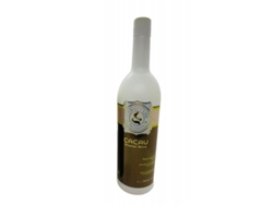 Cepillo Progresivo Eternity Liss Cacau (chocolate) Pelo Seco 2x1l