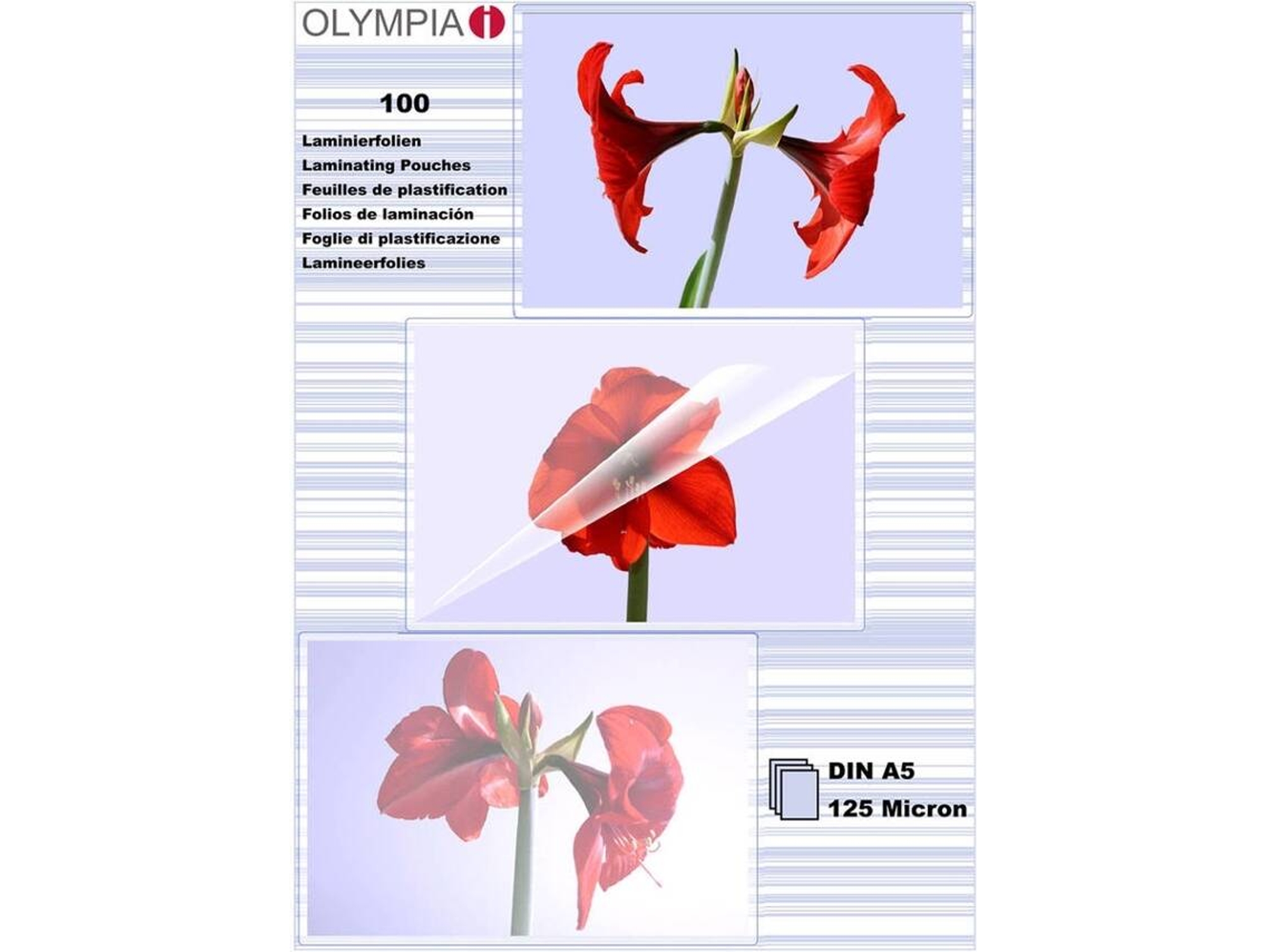 Fundas de Plastificar OLYMPIA 1x100 DIN 125 micron (100 un - A5)