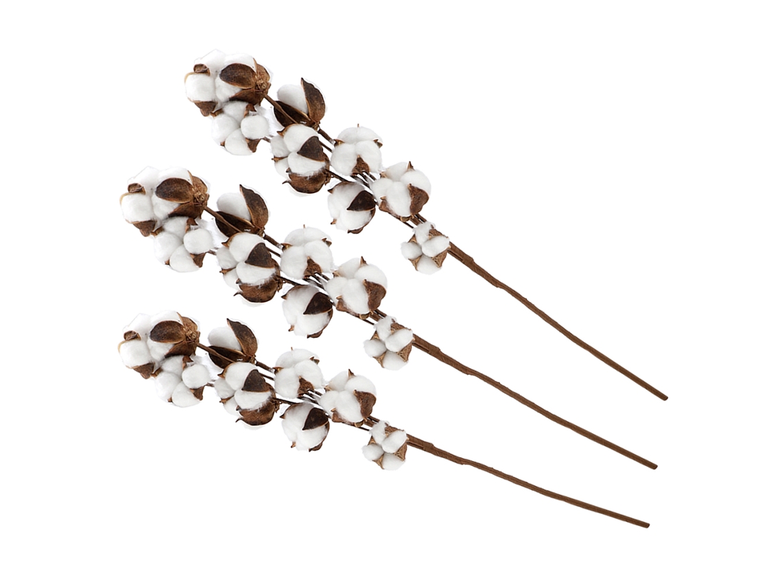 2026-3pcs Tallos De Algodón Natural Kapok Flores Secas Decoración Boda Fiesta Hogar 60cm