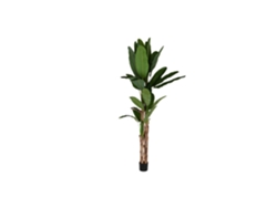 Planta Pe Cemento Bananero Verde 90x90x290cm