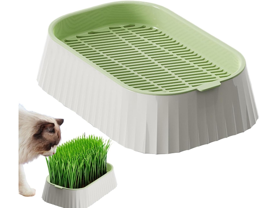 Maceta Para Hierba Gatera – Maceta Hidropónica Para Hierba Gatera – Herramientas De Plantación De Doble Capa Para