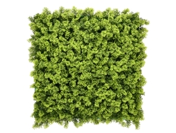 Jardín Vertical Musgo Pack 4 Piezas 50x50cm