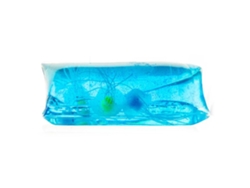Gran serpiente de agua de Rosewell