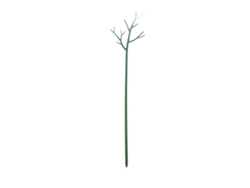 Soporte de plástico para plantas trepadoras en el jardín.