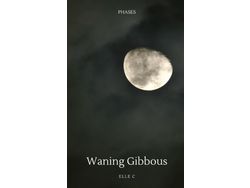 Libro Waning Gibbous Phases de Elle C (Inglés)