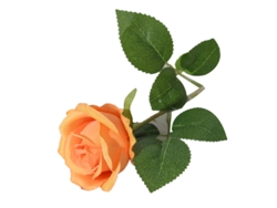 Rosas de seda naranjas simuladas para decorar la sala de estar.