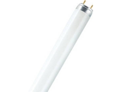 Bombilla fluorescente Natura T8 L 36W/76 G13 Osram