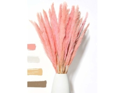 15 Cañas De Flores De Pampa Secas - Flores Secas Naturales, Decoración Duradera Y Elegante - 60 Cm