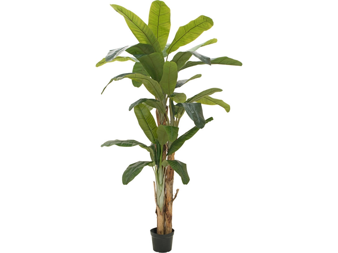 Planta Artificial EUROPALMS Banana (Verde - 240 cm)