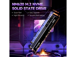 Lexar Nm620 Ssd M.2 Nvme 2tb Pcie3.0, Hasta 3300mb/s De Lectura Luz Dourada
