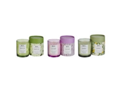 Conjunto de 3 velas aromáticas BELIANI Colorful barrel de Cera de soja Verde 8x8x9