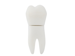 Memoria Usb 2.0 Cute Tooth Shape 16g Pendrive Disco De Memoria