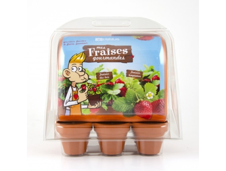 Jogo de Mesa RADIS ET CAPUCINE Mini Greenhouse - Strawberries (4 Anos)