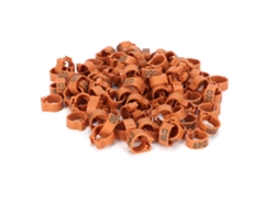 Anillas de plástico de 10 mm para patas de palomas