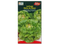 Semillas Fitohortícolas Lechuga Reina De Mayo 00210 Caja 10 Unidades FPLUS