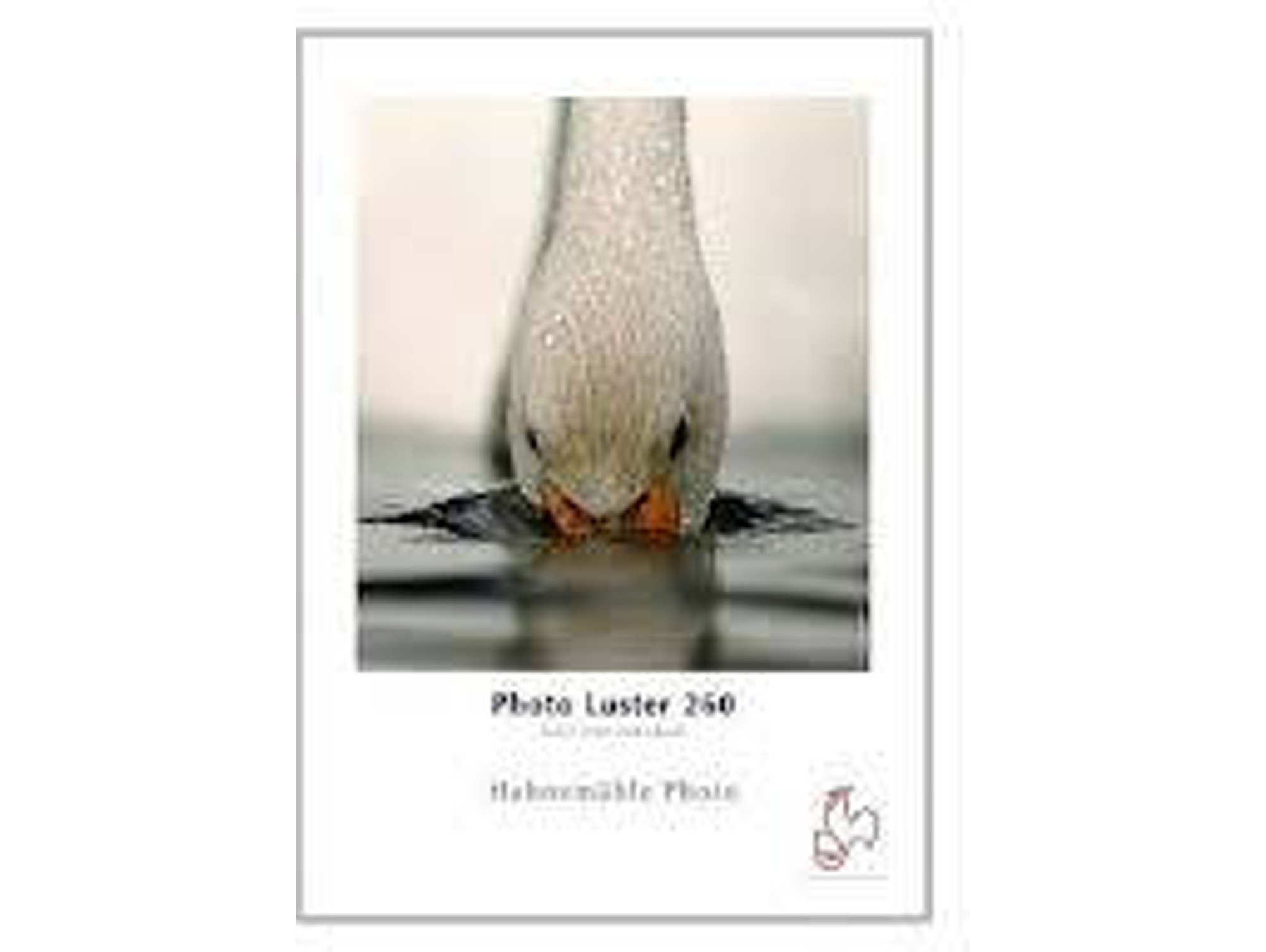 Papel Fotográfico HAHNEMÜHLE Photo Luster 260