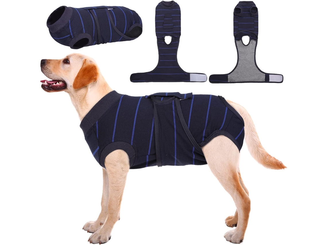 Traje Quirúrgico Para Perros Eifson Protección De Heridas Abdominales Talla M (negro)