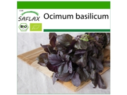 SAFLAX Ecológico Albahaca Roja 400 semillas Con sustrato de cultivo libre de gérmenes Ocimum basilicum