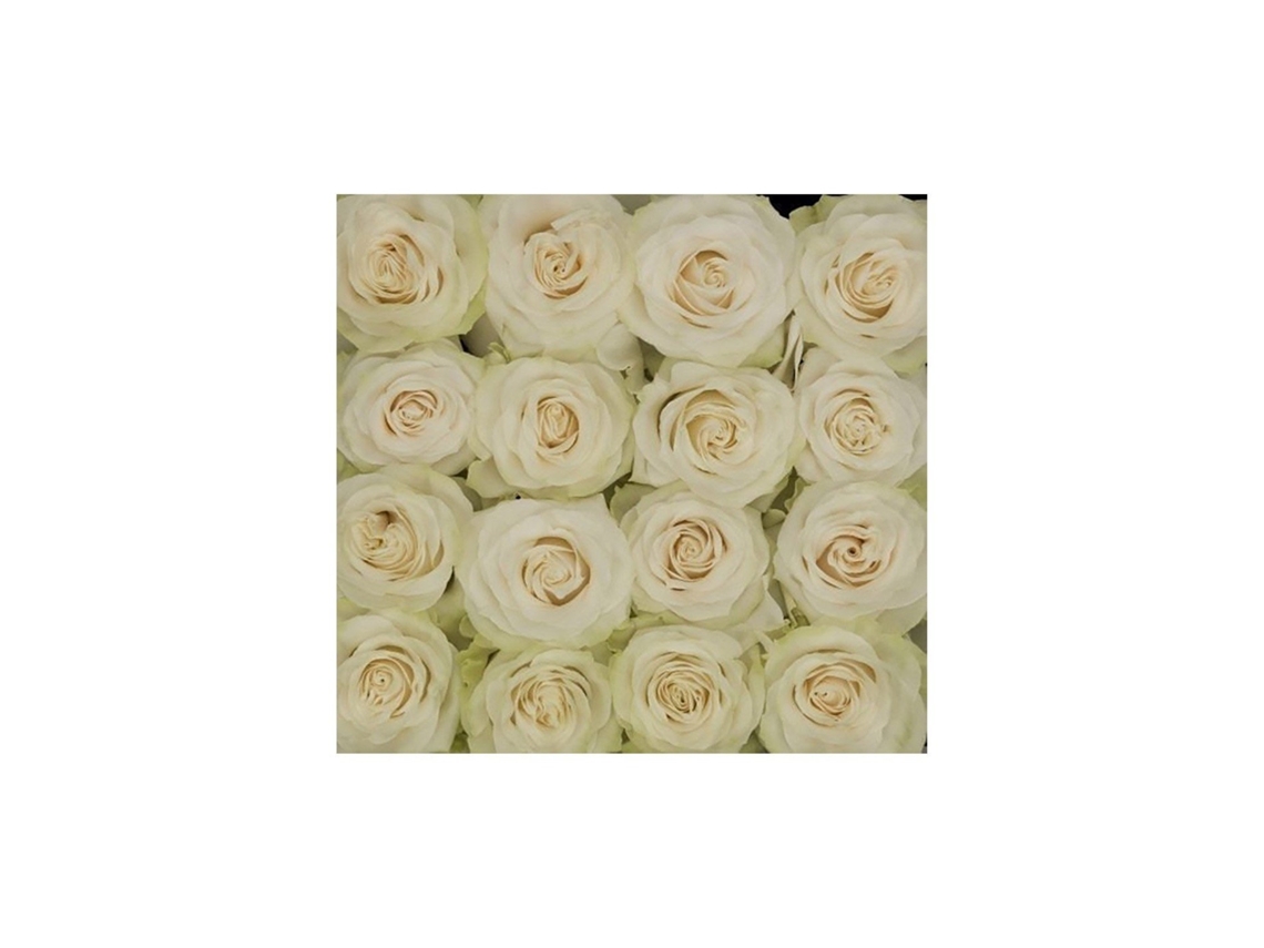 Rosas Variadas | Flor Natural | Ramo De 12 Tallos | 60cm De Alto Blancas Mondial