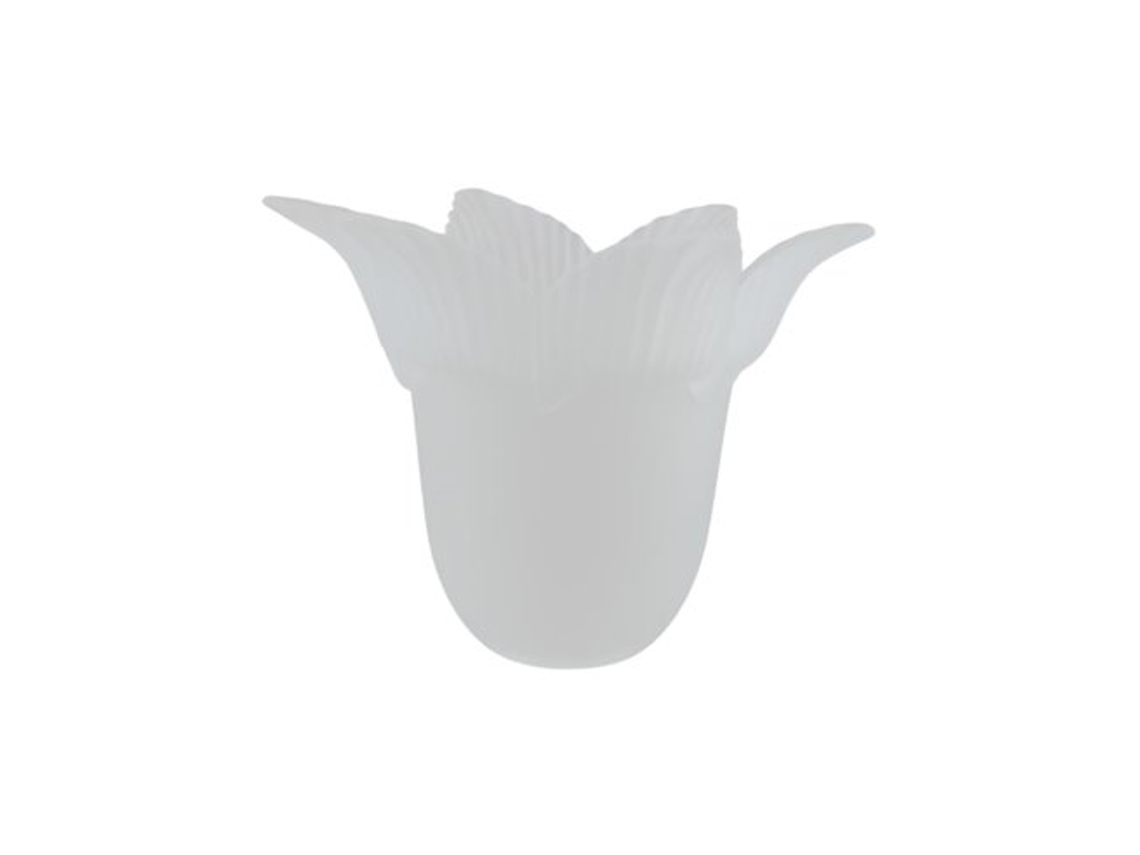 Tulipa de cristal mate NARCISUS 11x16cm con apertura de 3cm