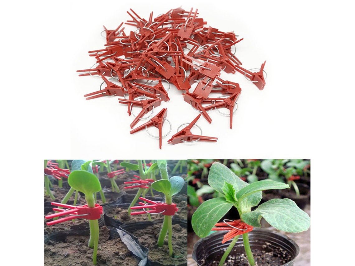 100 Pinzas De Injerto De Plástico Prácticas Para Plantas Y Jardín, Herramientas Seguras.