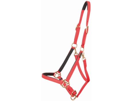 Cabezada para caballos T de T Biotack®
