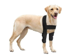2026-protector De Codo Respirable Para Perros Con Soporte Para Hombros, Ideal Para Higrama, Displasia Y Osteoartritis