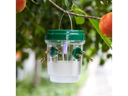 Trampa solar para moscas de la fruta y avispas, verde PP Tommy01
