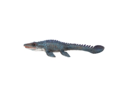 Modelo De Dinosaurio Marino Altamente Simulado Decoración De Hogar Oficina Adorno Juguete Infantil