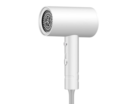Secador de Pelo ZXXI de Iones Negativos 850W