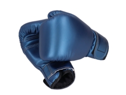 Guantes De Boxeo Para Niños, Juego De 2 Piezas Para Entrenamiento, Lucha Y Kickboxing, Mango Azul, Duraderos, Para Edades De 3 A 10 Años.