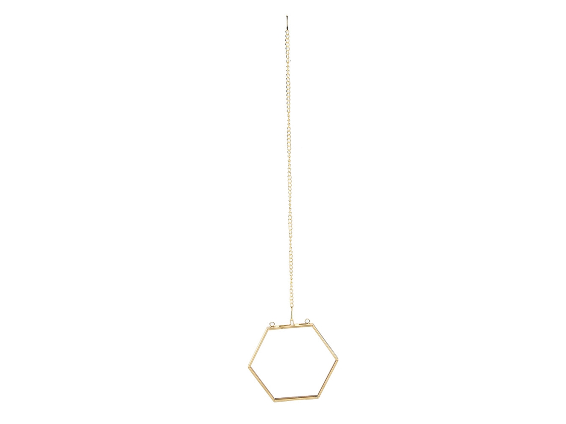 Marco De Cristal Hexagonal Geométrico Único Para Exhibir Flores Secas Y Ejemplares De Plantas.