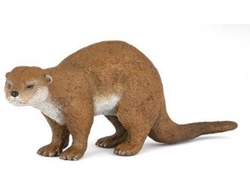 Figura PAPO Lontra