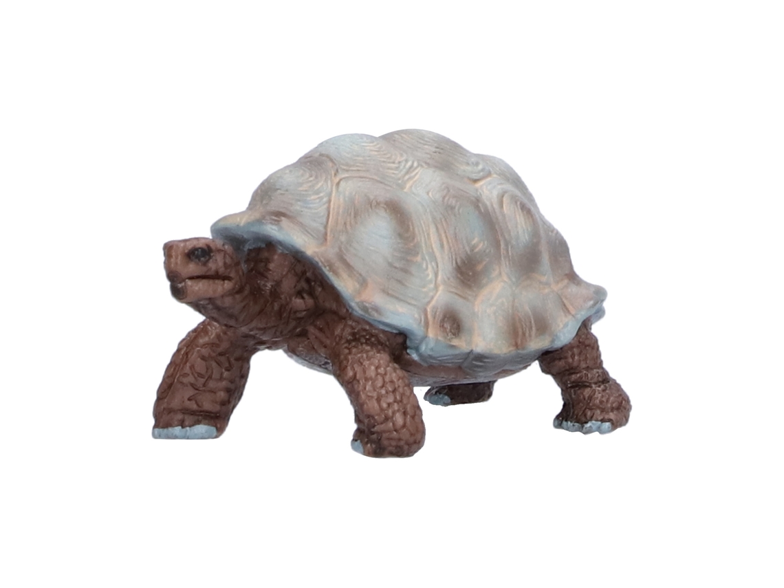 2026-figuras De Modelos De Tortuga Tortoise Figuras De Animales Salvajes Juguete Educativo Para Niños Bebés