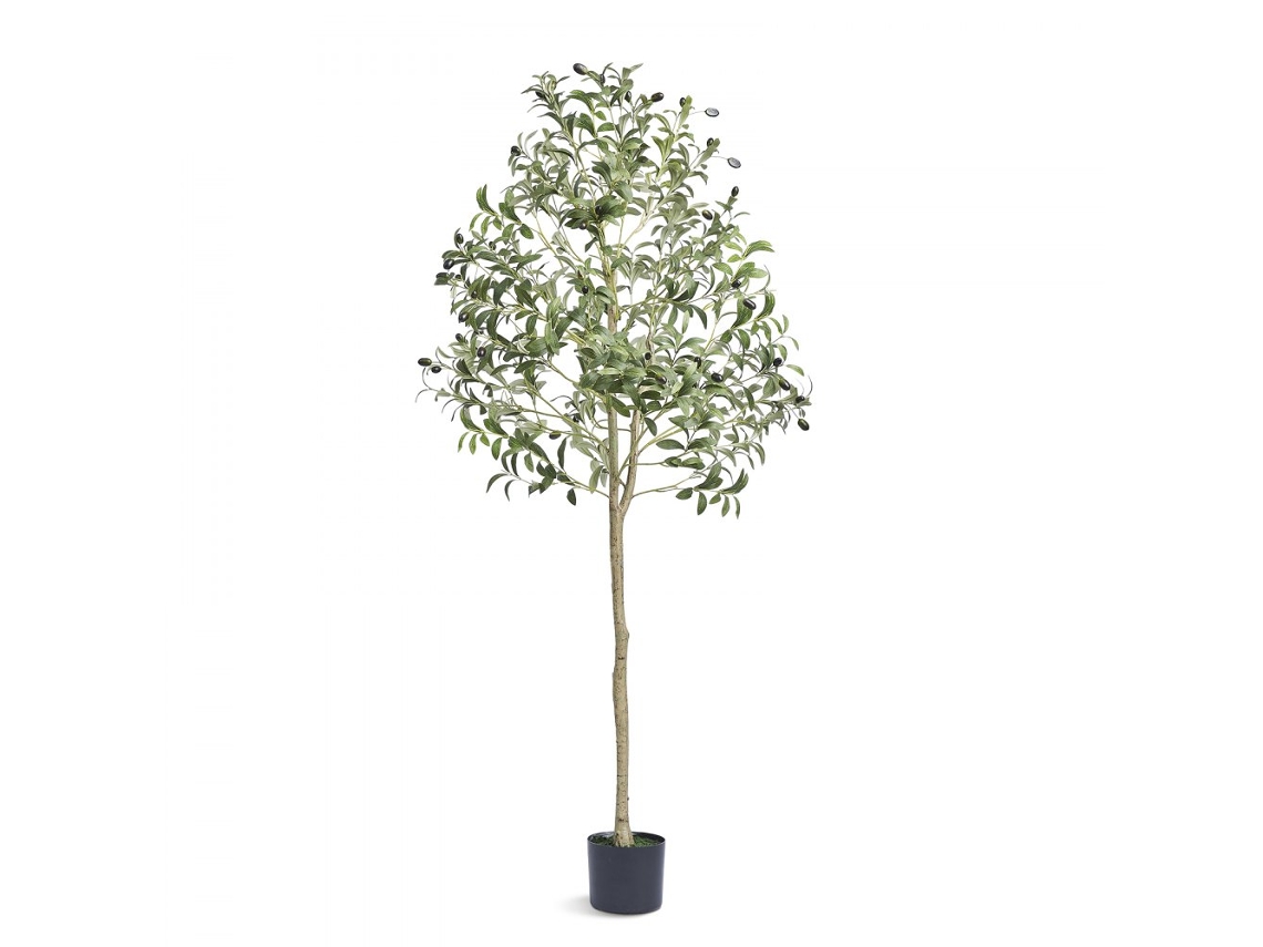 Olivo Artificial de 155 cm con Maceta, Realista y de Fácil Mantenimiento Tekmaquinas