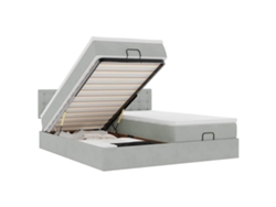 Maison Exclusive - Estructura Cama Otomana Colchones Terciopelo Gris Claro