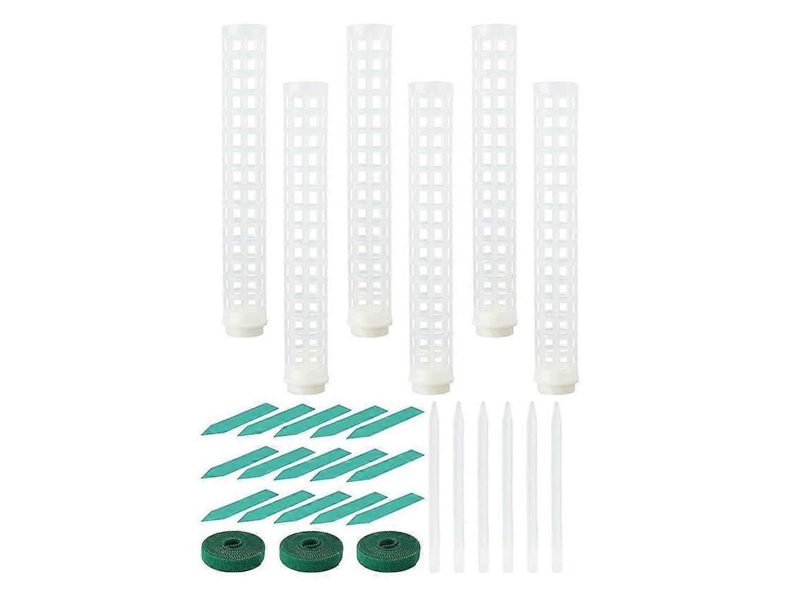 6 Postes De Musgo Plástico De 15 Pulgadas Malla Transparente Para Plantas Trepadoras Monstera Blanco