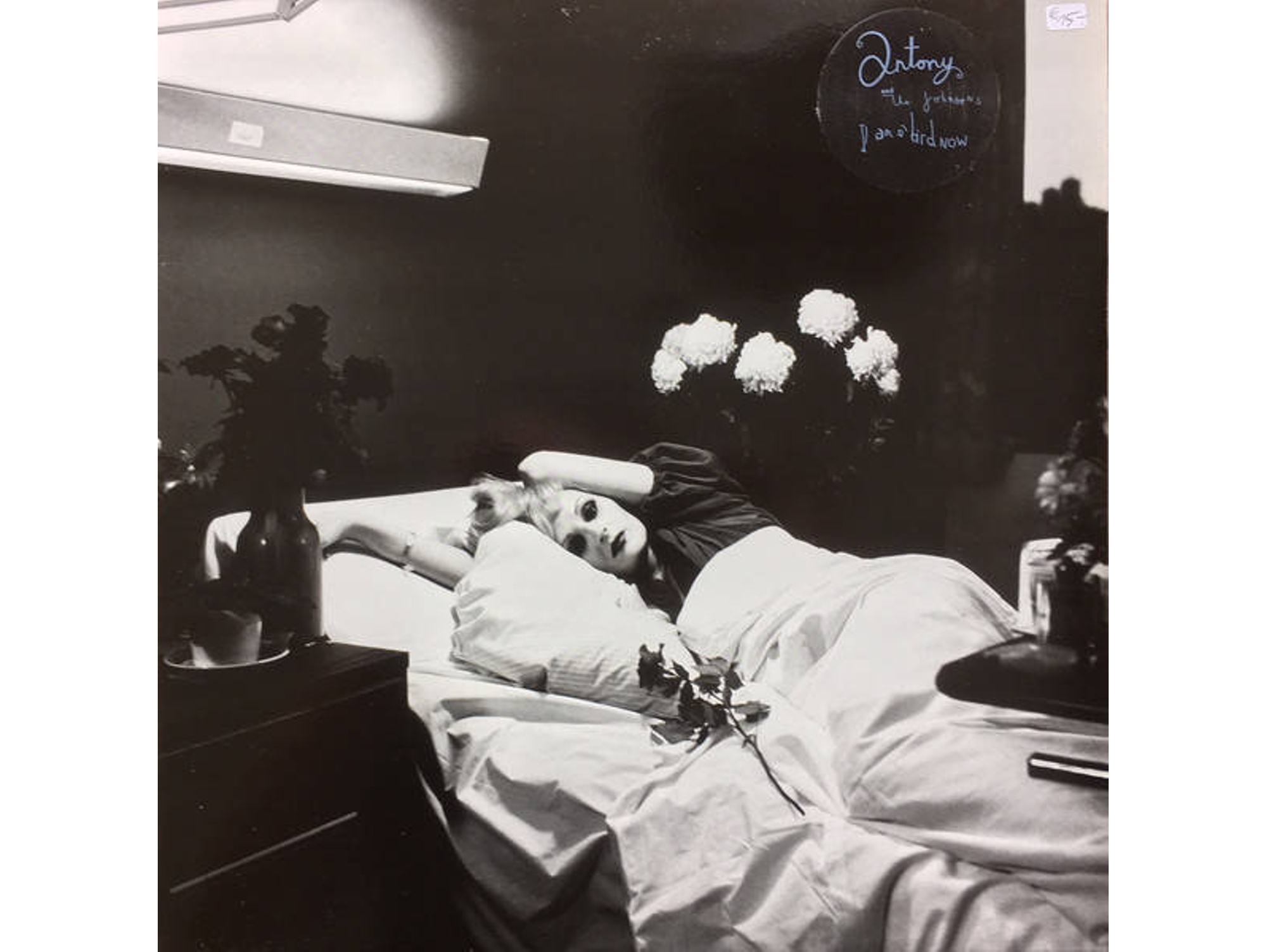 Vinilo Antony And The Johnsons - I Am A Bird Now (1CDs)