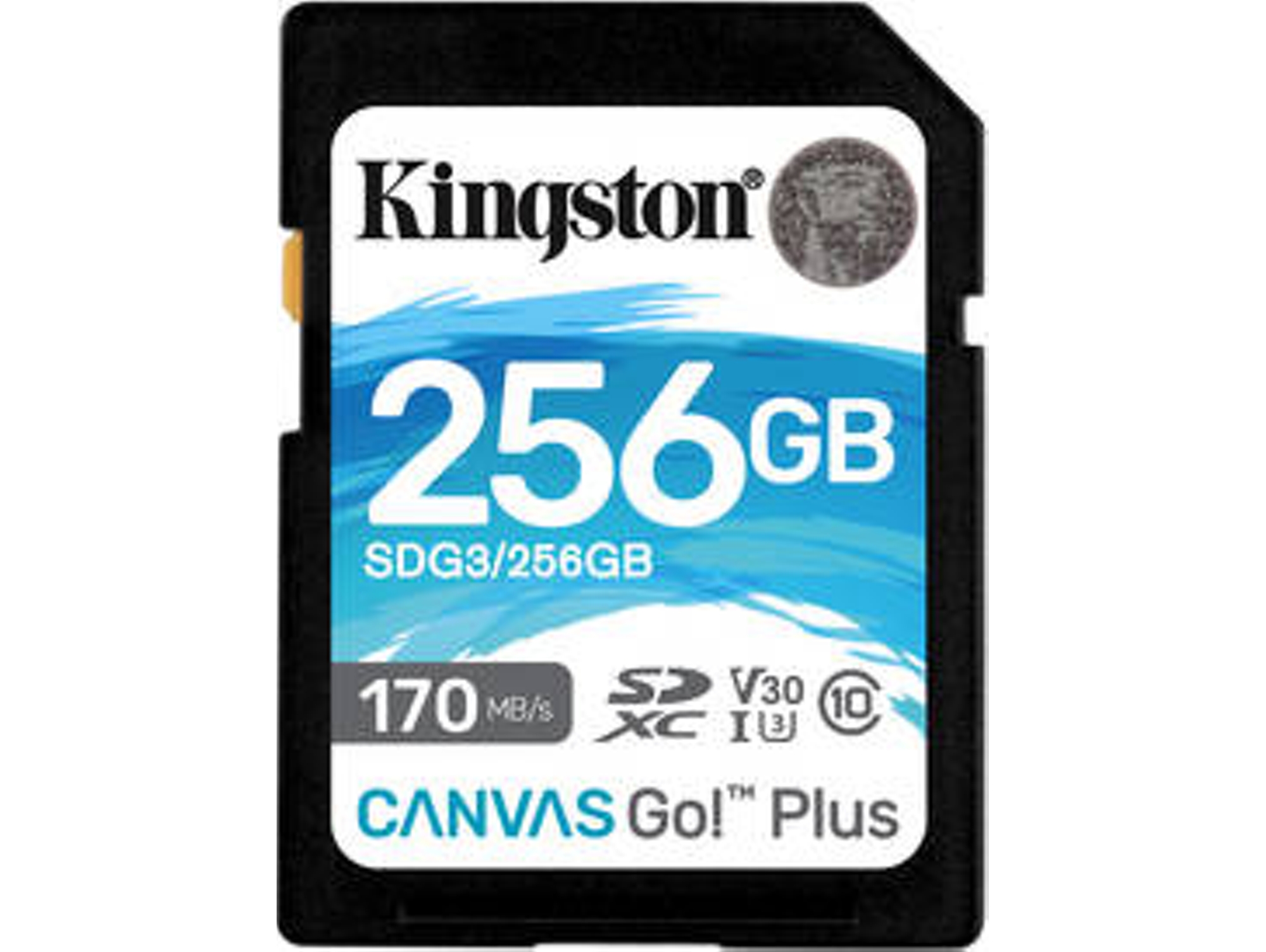 Tarjeta de Memória SD KINGSTON Canvas Go Plus (256 GB - 170 MB/s)