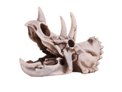 Modelo de cráneo de dinosaurio triceratops de resina para decoración de oficina