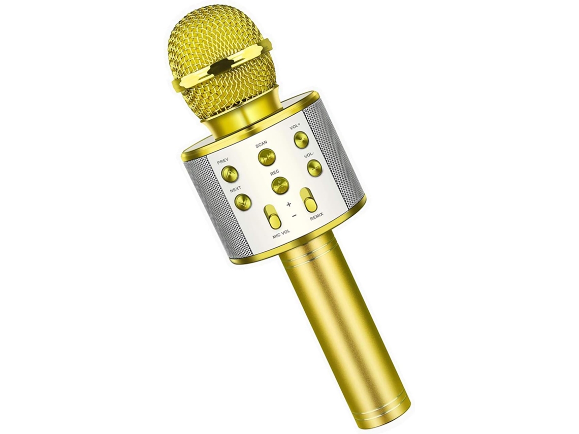 Fun Toys De 3 A 12 Años Micrófono Para Niños Micrófono De Karaoke De Cumpleaños Para Niños De 5 A 12 Años CHRUI Micrófono