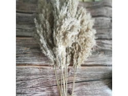VYLARA Capim Dos Pampas Fofo Para Decoração De Casamento, Decoração Com Capim Dos Pampas Seco, Textura Natural Para Arranjos De Mesa Rústicos De Festa Em Est