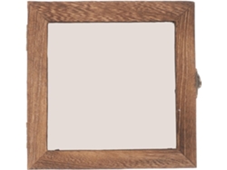 Vitrina Vintage Para Insectos, Caja Con Tapa Transparente Para Almacenamiento.